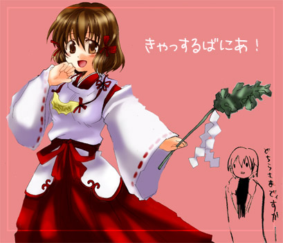 �Ƃ��߂��h���L������