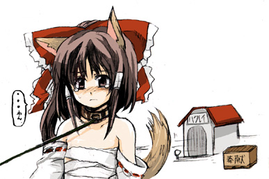 ��Ƒ��Ă����ΑK�����͖Y��Ȃ�